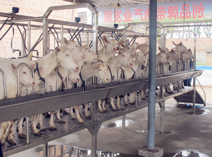 非凡国际(中国区)-官方网站